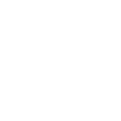 Ansomarine Footer Logo